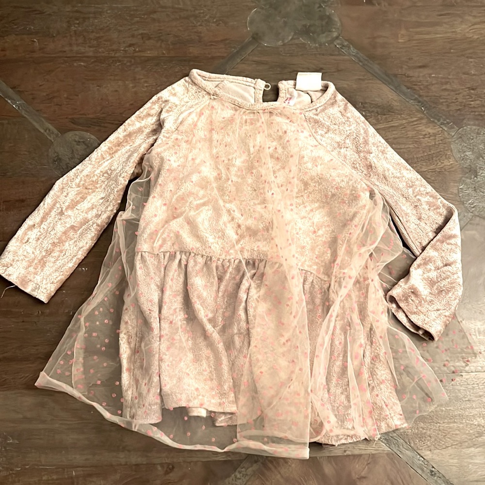 Velvet ZARA dress